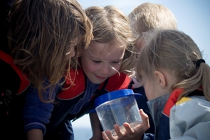 Taking a closer look at local marine animals